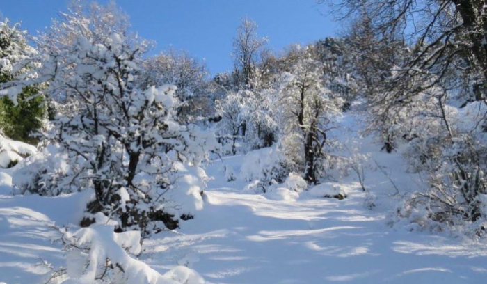 بعد تساقط الثلوج… كيف هي حال الطرق الجبلية؟