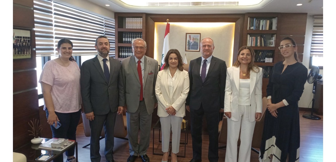 حبيب يقترح على السيّد مشروع 