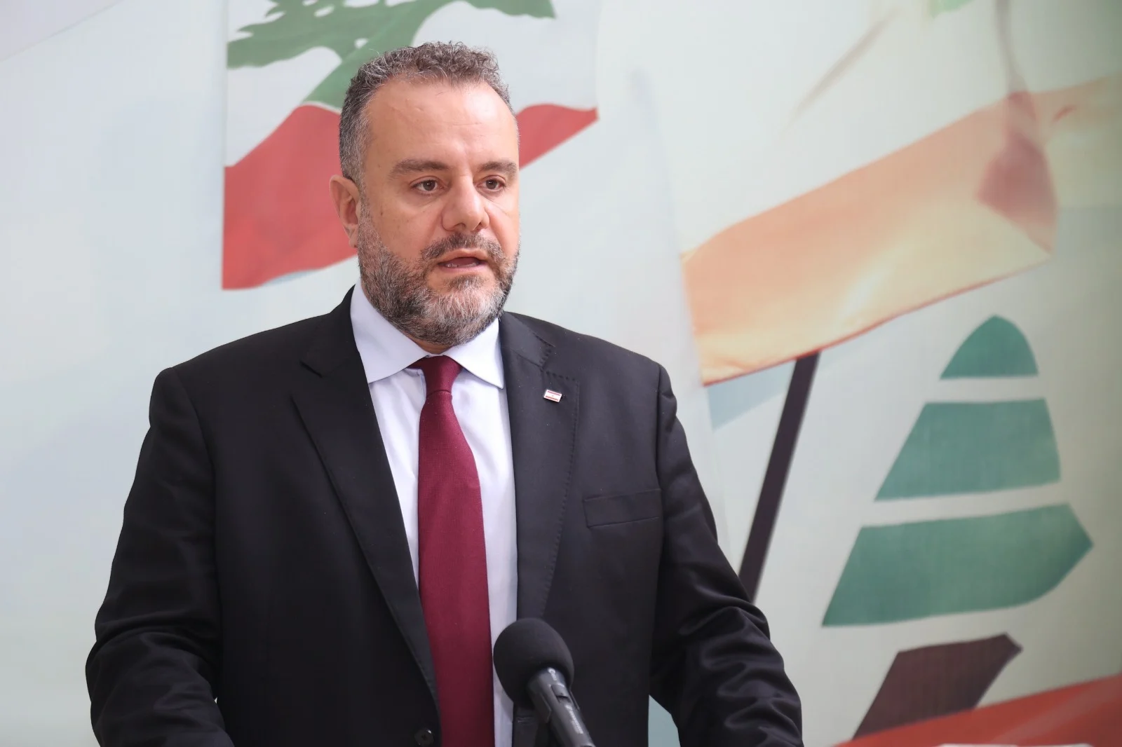 عبدالمسيح: في ذكرى تفجير مرفأ بيروت أريد الحقيقة