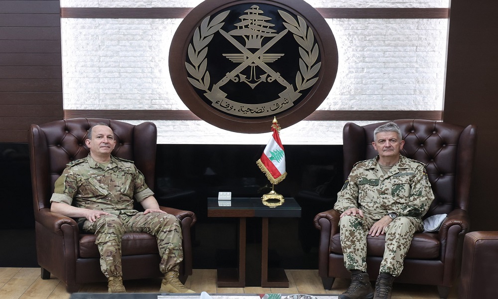 هيكل يعرب عن تقديره للدعم الألماني