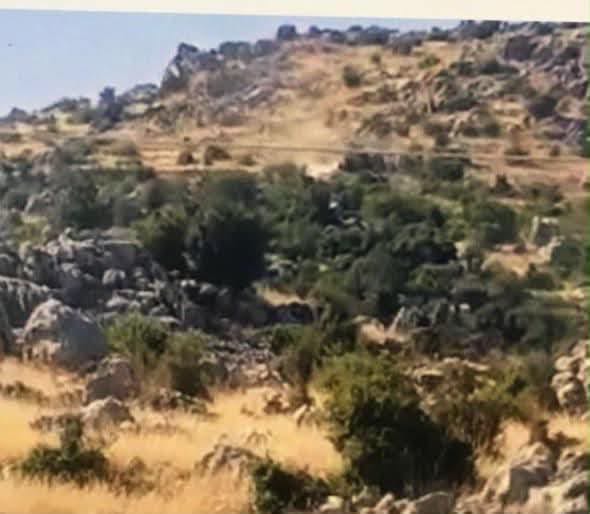 تجريف وإطلاق نار إسرائيلي في أطراف كفرشوبا وإحراق منازل في حداثا