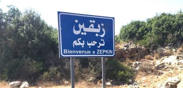 سقوط مسيّرة إسرائيلية في محيط زبقين جنوب لبنان