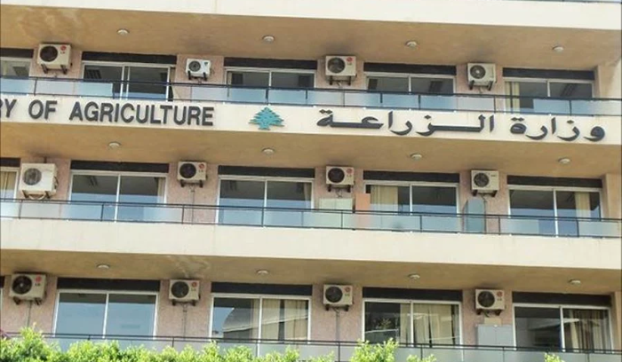 بعد شكوى عن قطع أشجار حرجيّة... 