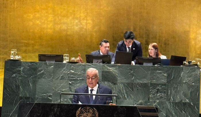 بو حبيب من الامم المتحدة: تطبيق القرار 1701 ضروري لأمن لبنان وإسرائيل