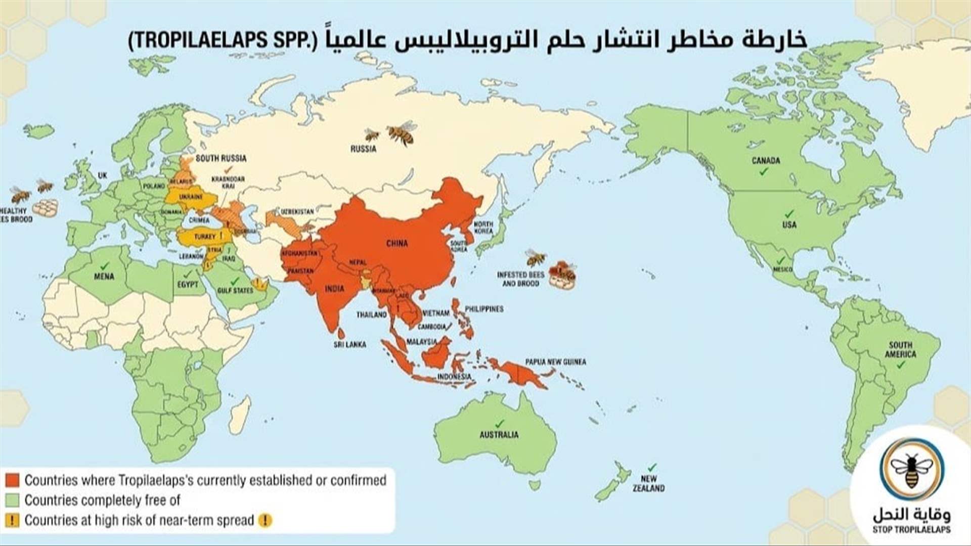 آفة تصيب النّحل عالمياً... وسلسلة إجراءات لمنع انتقالها الى لبنان