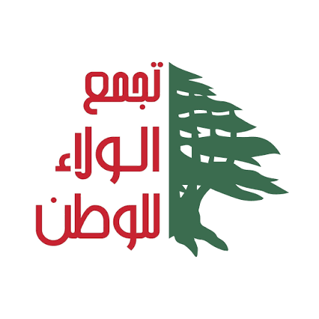 «الولاء للوطن» ينتقد أداء مجلس النواب ويدعو إلى المحاسبة وإصلاح القضاء