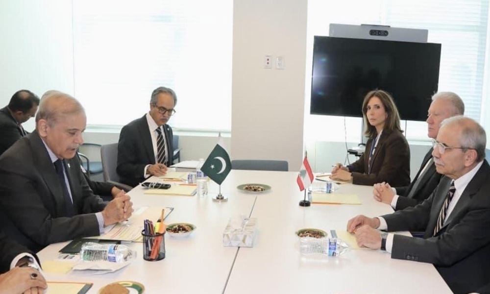 رجّي: لا أحد يفاوض باسم لبنان إلا الدولة