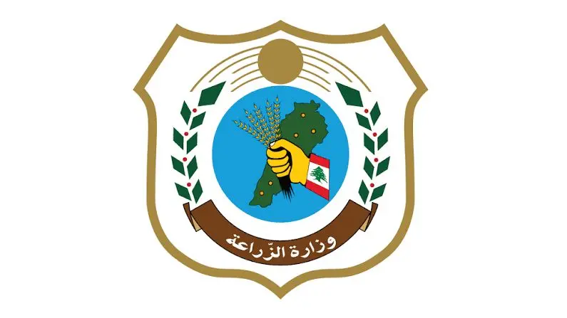 وزارة الزراعة تصدر إرشادات للمزارعين لضمان جودة زيت الزيتون وسلامة الأشجار والعاملين