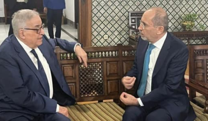 بو حبيب اختتم زيارته إلى القاهرة