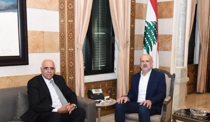 مولوي: نتمنى أن تثمر الجهود لتطبيق القرار ١٧٠١