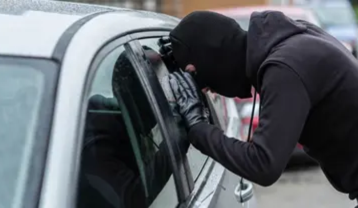 حاولا سلبها في السيارة... إليكم ما فعلته بهما!