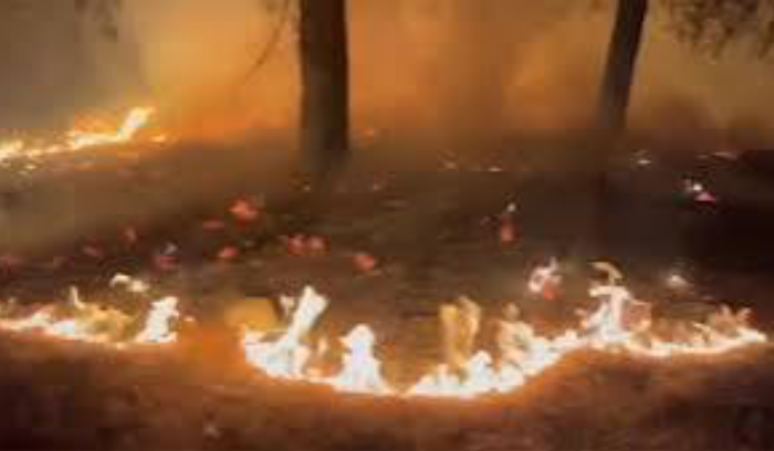 مسؤول أميركي كبير: لم نتلق إخطاراً مسبقاً بنية 