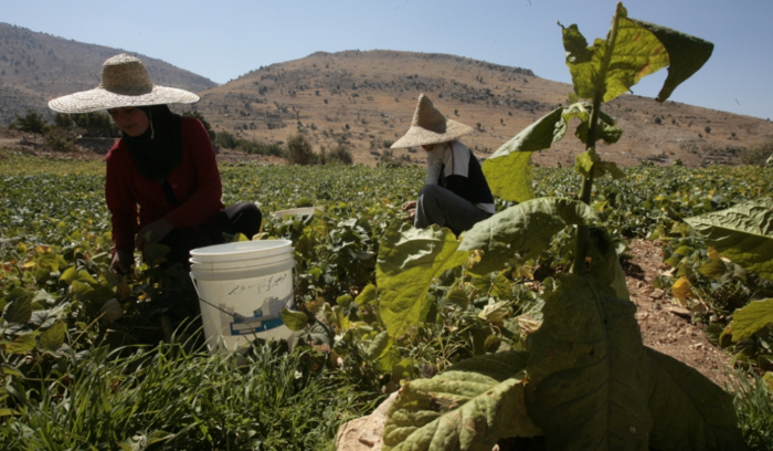 المنظمات الدولية تهوّل: «مجاعة» في لبنان
