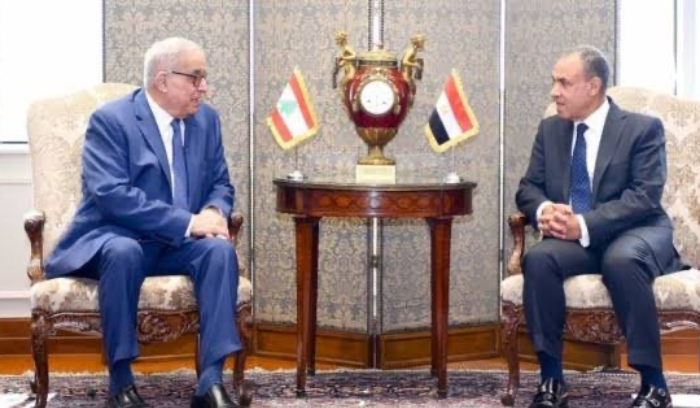 بوحبيب في مؤتمر صحافي مشترك مع نظيره المصري: توسّع رقعة الحرب أصبح جديًا
