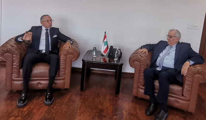 بو حبيب أكد في لقائه السفير المصري أن لا مفر من تطبيق قرارات الأمم المتحدة وتحديدا 1701