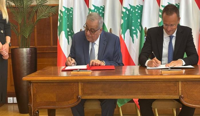 وزير الخارجية يبرر وجود المقاومة!