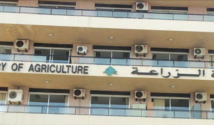 “الزراعة” تؤكد: بواخر المواشي تفرغ في اليوم عينه