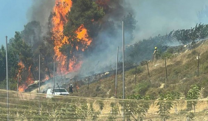 تحرُّك لبناني لوقف دعوات المغادرة.. والبرمائية الأميركية في المتوسط «لردع العدوان»!<br />
هجوم انقضاضي علی مواقع لجيش الإحتلال.. وغالانت يفضِّل التسوية على الحرب