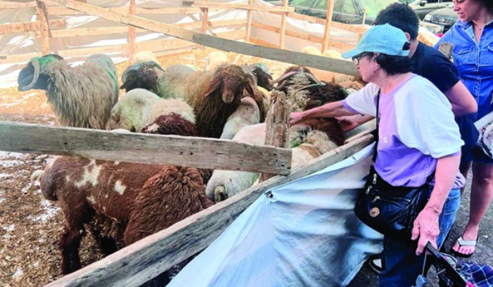 معلومات خاصة بـ «الأنباء»: الكوادر العسكرية في حزب الله رفعت جهوزيتها إلى الدرجة القصوى<br />
لبنان الرسمي يعمل على خطين: احتواء التصعيد والتمسك بسيادته وإطلاق الموسم السياحي