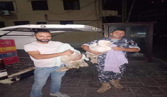 توقيف شخصين بجرم مخالفة قانون الصيد البري