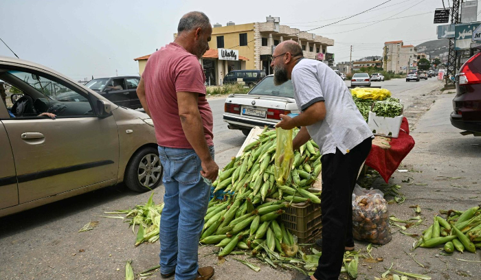 مزارعو لبنان أكبر الخاسرين من «تنظيم» الوجود السوري<br />
طالبوا بإجراءات «عادلة» تسهّل عمل الطرفين