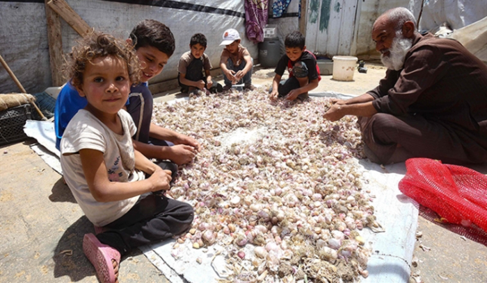 كتاب من بو حبيب للمقداد: نطالب بدعوة سوريا للمشاركة في مؤتمر النازحين<br />
لبنان يخفّض تمثيله في بروكسيل تضامناً مع دمشق