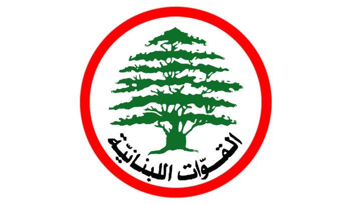 القوات ردًا على فياض: سلاح الحزب دمّر الجنوب وأغرق لبنان بالخسائر