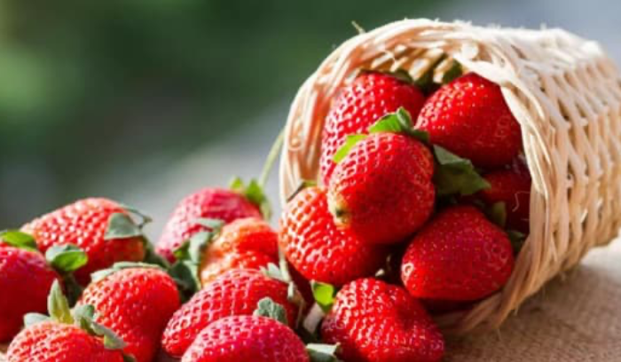 هل الـFraise في لبنان... مطابق للمواصفات؟