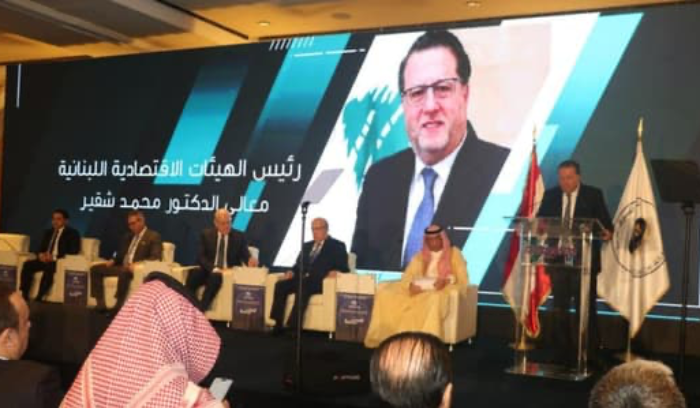 شقير: القوى اللبنانية مطالبة بالتوصل الى حل جذري للأزمة السياسية