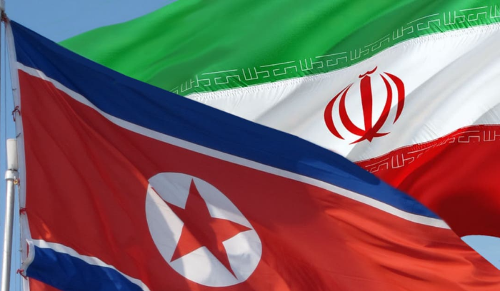 مذكرة توقيف أرجنتينية بحق وزير إيراني وبطاقة حمراء من الانتربول