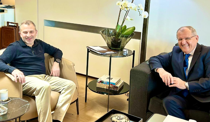 طلال الدويهي عرض مع باسيل الهواجس من مخالفة قانون تملك الاجانب