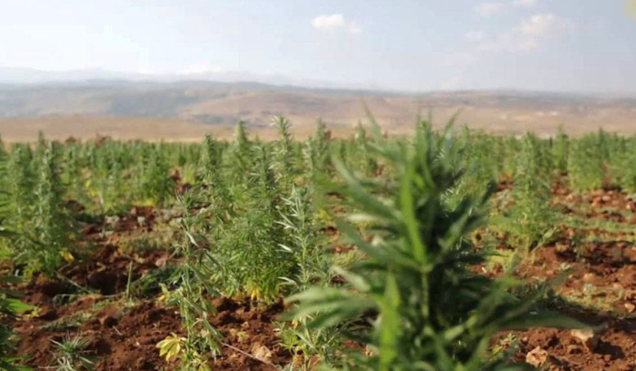 أربع سنوات على تشريع 