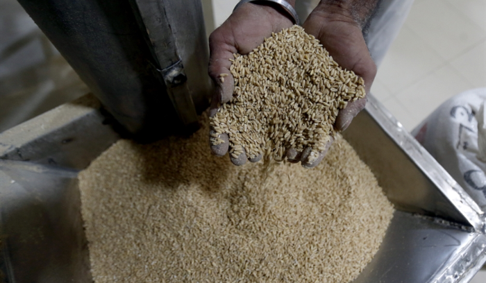 المهل القانونية تعلو على صحة الناس: قاض يسمح بإدخال قمح عفن ومسوّس إلى الأسواق!