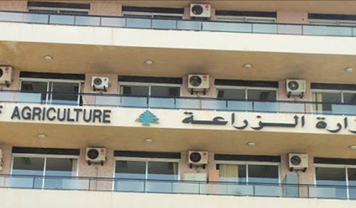 موظفو وزارة الزراعة يعاودون العمل