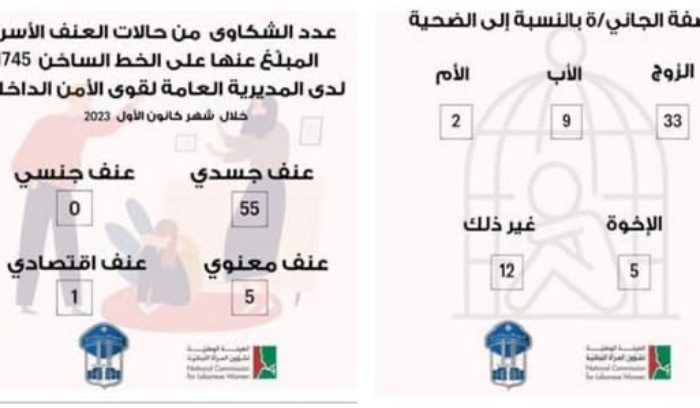 كم بلغ عدد شكاوى العنف الأسري لشهر كانون الأول 2023؟