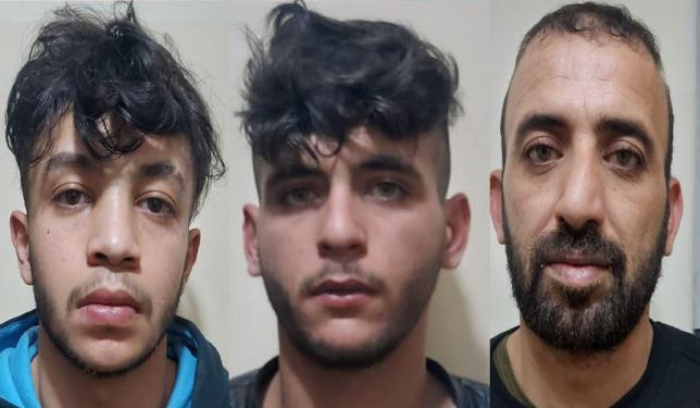 تسلّقوا منازل ضحاياهم أثناء نومهم وسرقوها!