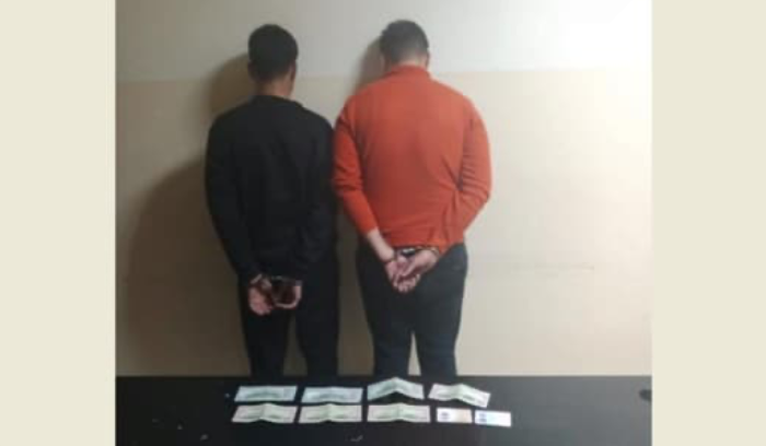 يستأجران سيّارات عبر بطاقات هويّة مزوّرة ويهرّبانها
