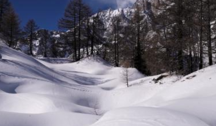 الثلوج غطت مرتفعات الضنية كافة