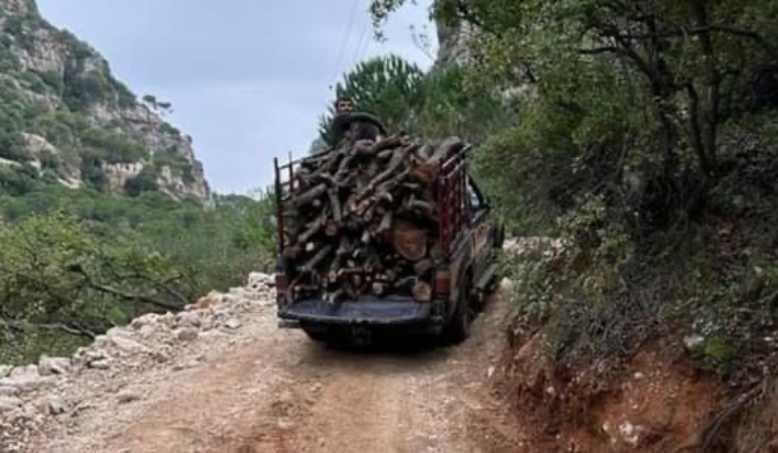 بالصور: نائب يكشف عن انتهاكات بيئية