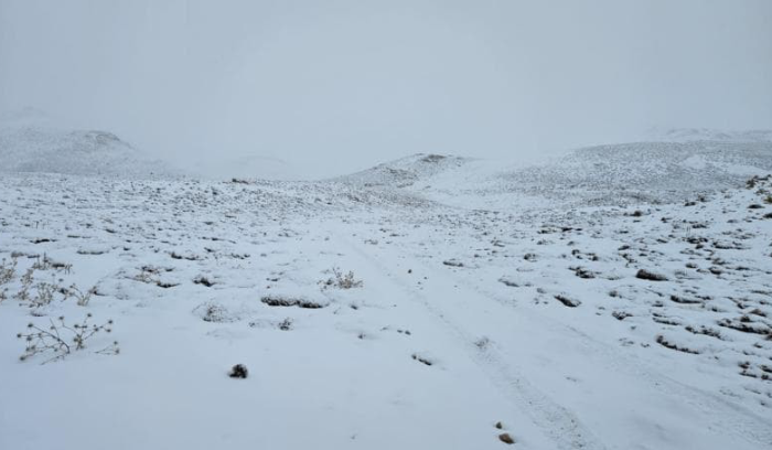 بالصورة: لبنان يلبس “الثوب الأبيض”