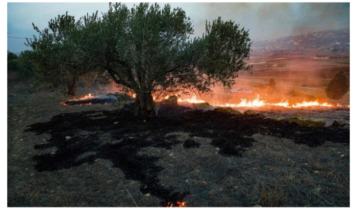 تصعيد الجنوب يُسابق هدنة غزة وإطلالة نصرالله<br />
