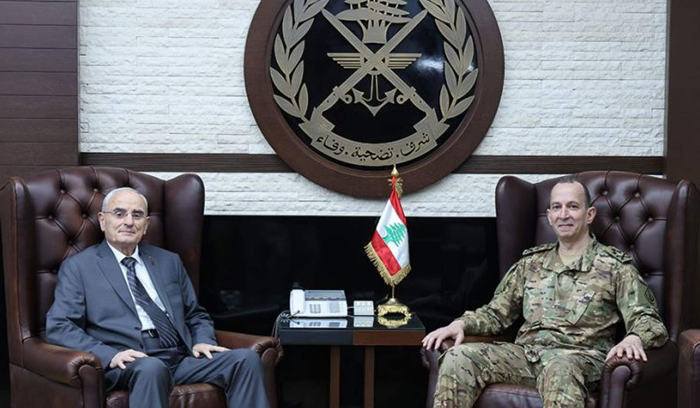 وزير الدفاع زار هيكل مهنئًا بتوليه قيادة الجيش