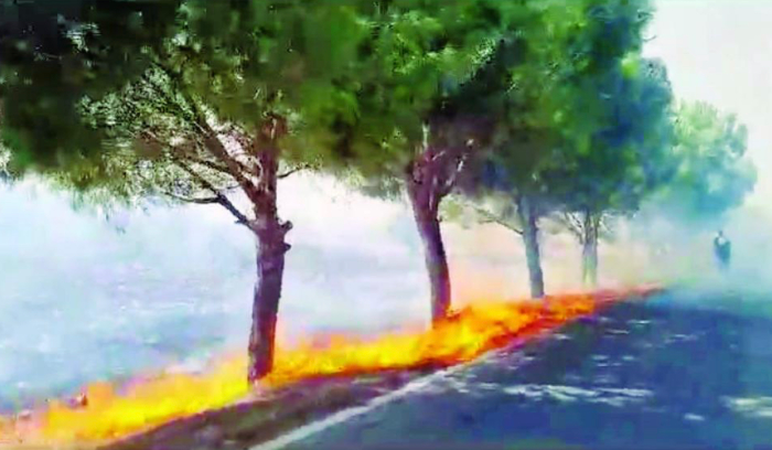 فرصة دولية لتجنيب لبنان الحرب والتمديد للقائد 