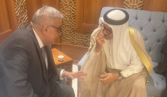 بو حبيب يحذر: إستمرار العدوان على غزة قد يحرق المنطقة!