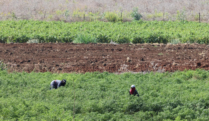 لبنان غير جاهز لمواجهة انعكاسات الحرب ومخاوف من نتائج تدميرية<br />
يفتقد مقومات الصمود الاستشفائية والاقتصادية