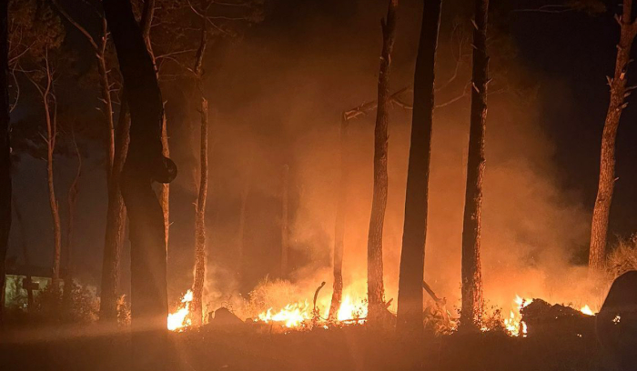 ارتدادات التدقيق الجنائي… إلى داخل القضاء