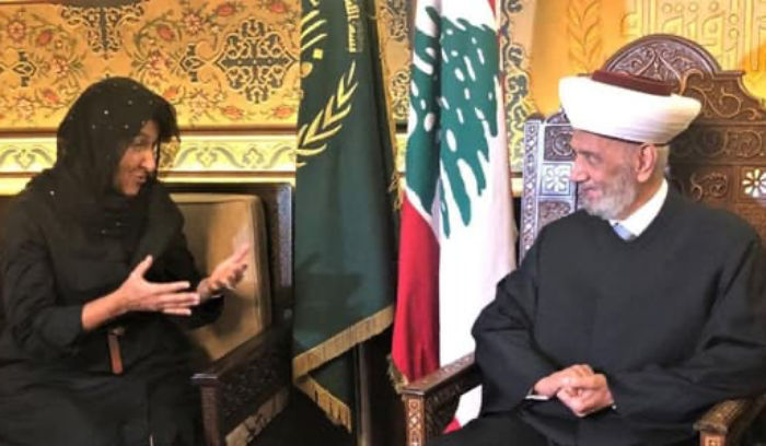 دريان استقبل غريو: دول اللجنة الخماسية صمام أمان للبنان