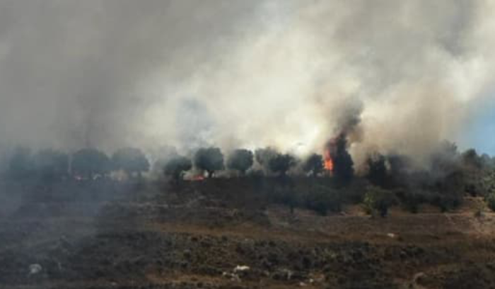 حريق كبير في ضهور الرميلة الساحلية