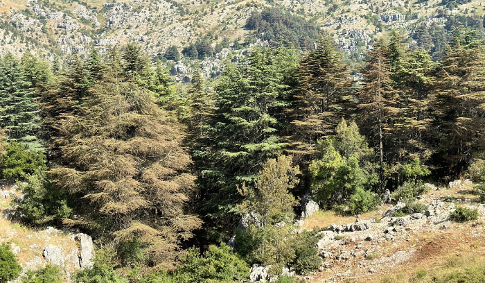 عاصفة رفض واسعة لمناورة صفقة الحاكمية