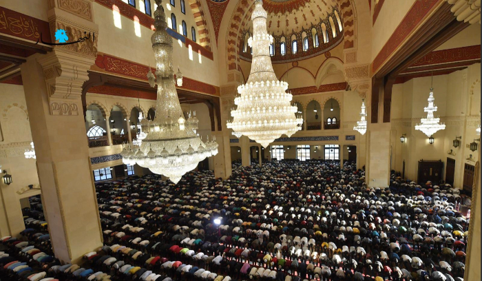 شلل تام وسيناريوات 